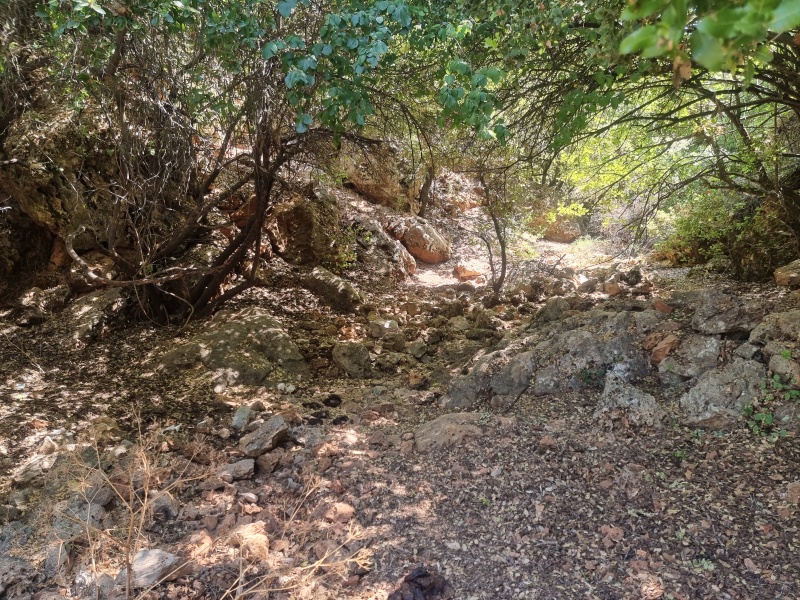 קובץ:2025-06-26T10 48 53.228324800922.jpg
