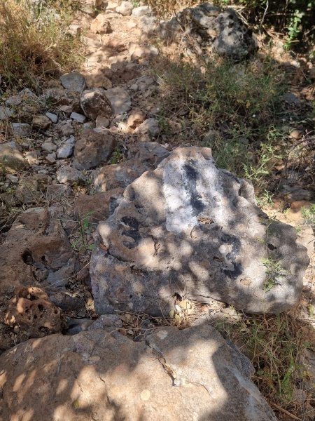 קובץ:2025-06-26T10 51 38.648773754786.jpg