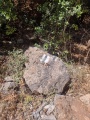 תמונה ממוזערת לגרסה מתאריך 18:16, 28 ביוני 2025