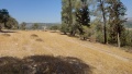 תמונה ממוזערת לגרסה מתאריך 12:40, 26 ביוני 2025