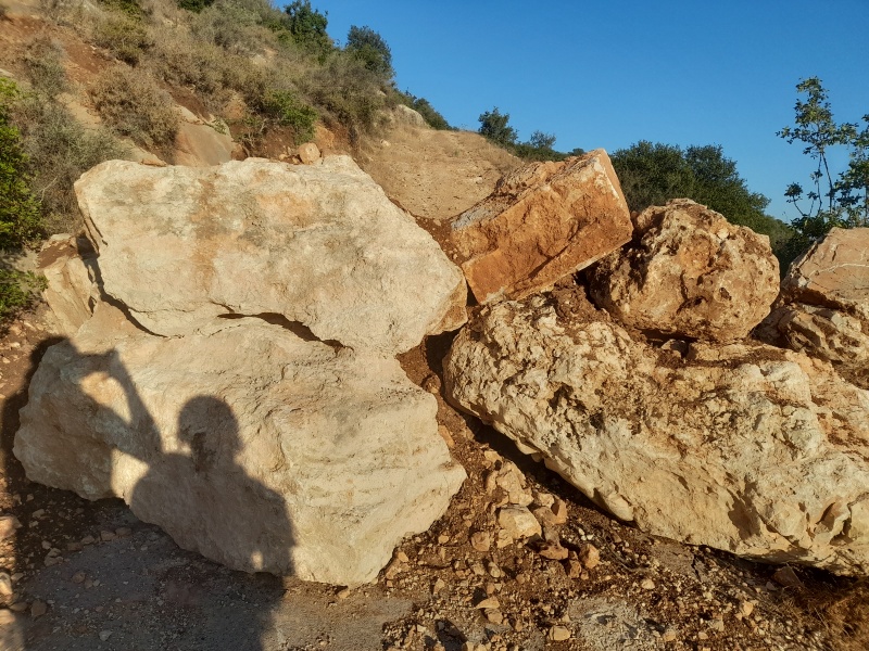 קובץ:2025-06-27T06 32 49.905004867276.jpg