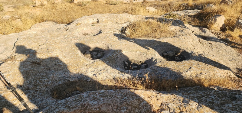 קובץ:2025-06-27T07 34 45.182168189259.jpg
