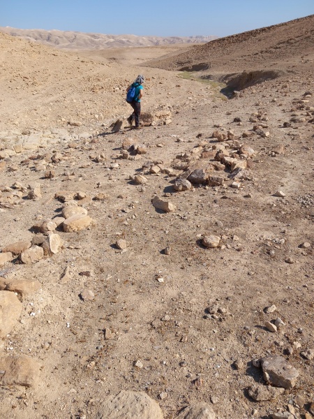 קובץ:2025-06-27T08 50 04.741699510437.jpg