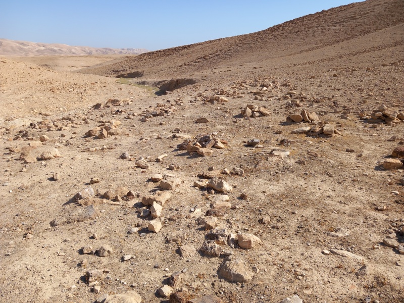 קובץ:2025-06-27T08 50 21.531631490142.jpg