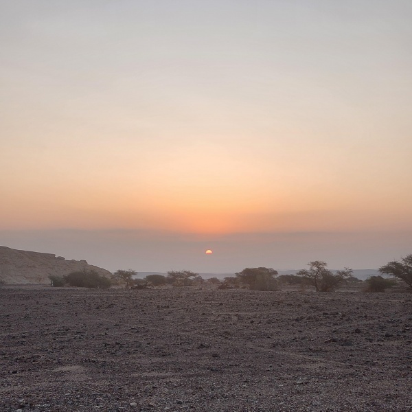 קובץ:2025-06-27T08 52 48.445464972804.jpg