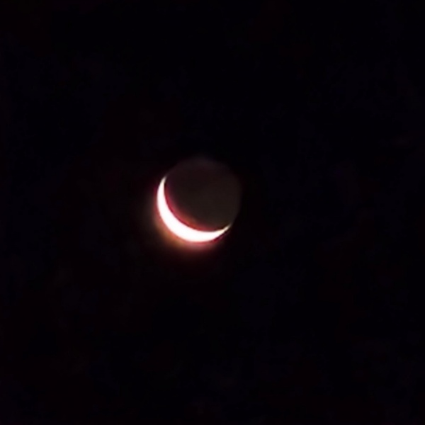 קובץ:2025-06-27T08 52 56.620650521639.jpg