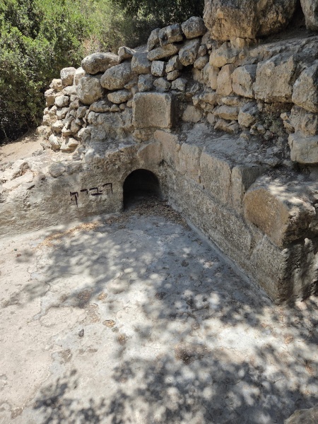 קובץ:2025-06-27T12 37 24.832719964709.jpg