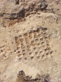 תמונה ממוזערת לגרסה מתאריך 13:53, 27 ביוני 2025
