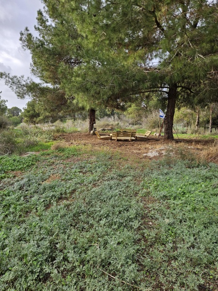 קובץ:2025-06-27T19 21 38.32799835242.jpg