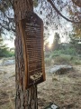 תמונה ממוזערת לגרסה מתאריך 15:59, 27 ביוני 2025