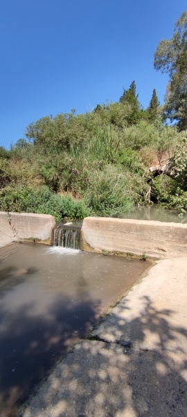 קובץ:2025-06-28T10 03 43.745490225204.jpg