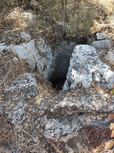 קובץ:2025-06-28T10 21 10.28565970511.jpg