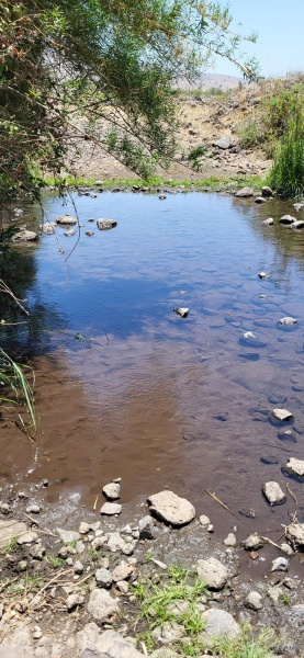 קובץ:2025-06-28T12 43 32.160875324222.jpg