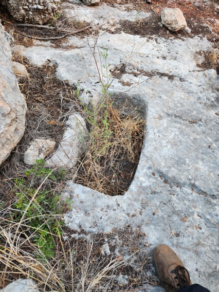קובץ:2025-06-28T19 40 58.070604280111.jpg