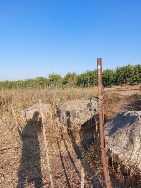 קובץ:2025-06-29T06 51 57.310153188497.jpg