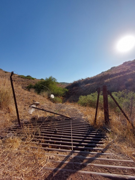 קובץ:2025-06-29T07 46 02.313338516704.jpg