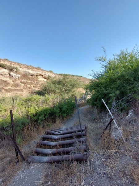 קובץ:2025-06-29T08 11 27.718962737186.jpg