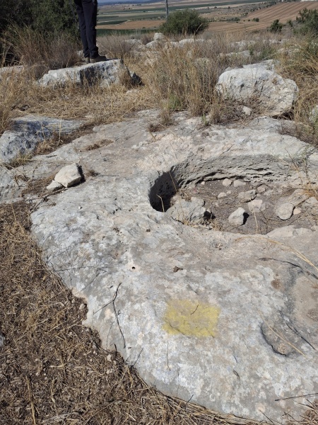 קובץ:2025-06-29T09 36 04.079321949312.jpg