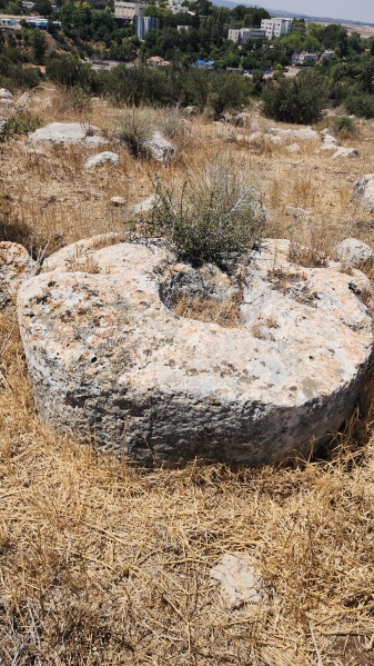 קובץ:2025-06-29T11 14 57.677238405067.jpg