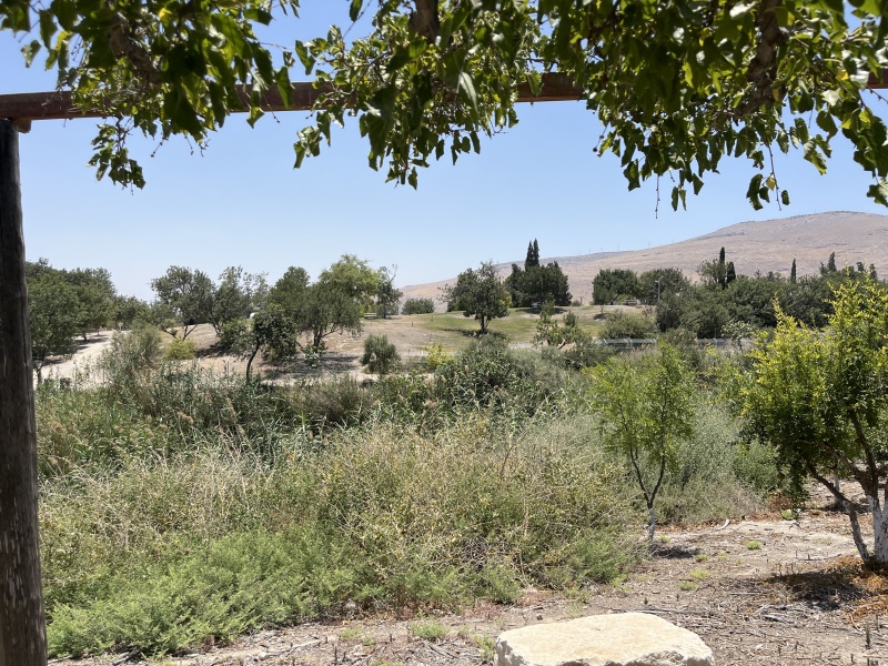 קובץ:2025-06-29T12 52 06.09328233673.jpg