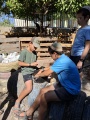 תמונה ממוזערת לגרסה מתאריך 13:21, 7 ביולי 2025