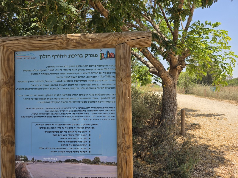 קובץ:2025-06-30T12 31 57.403826337787.jpg