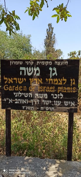 קובץ:2025-06-30T12 33 56.211140698622.jpg