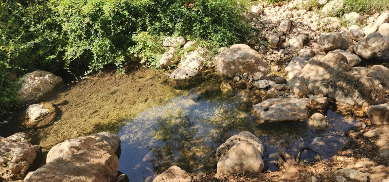 קובץ:2025-06-30T15 13 15.590808784985.jpg