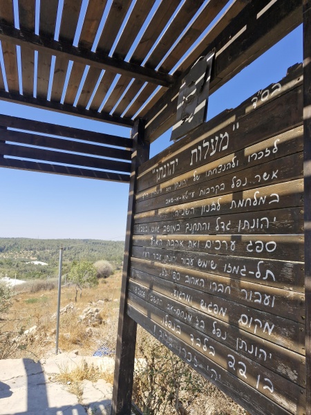 קובץ:2025-06-30T15 20 11.844488359127.jpg