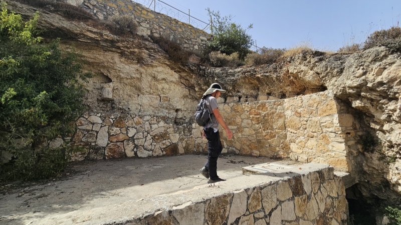 קובץ:2025-07-01T10 03 38.274137705840.jpg