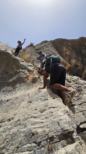 קובץ:2025-07-01T13 05 37.178081679534.jpg