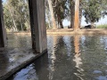 תמונה ממוזערת לגרסה מתאריך 15:45, 1 ביולי 2025