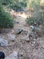 תמונה ממוזערת לגרסה מתאריך 07:08, 2 ביולי 2025