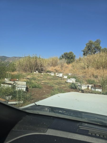 קובץ:2025-07-02T09 17 01.646768636025.jpg