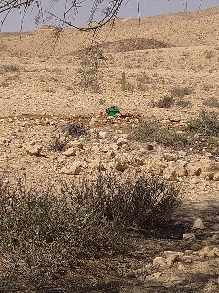 קובץ:2025-07-02T10 19 06.940847786475.jpg