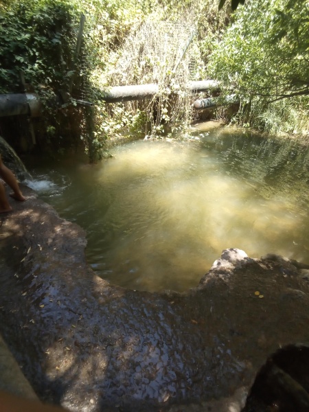 קובץ:2025-07-02T11 45 40.357485656126.jpg