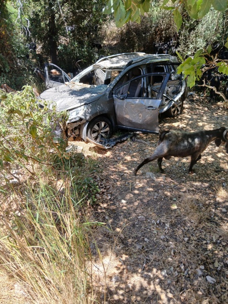 קובץ:2025-07-02T12 20 40.326363436127.jpg