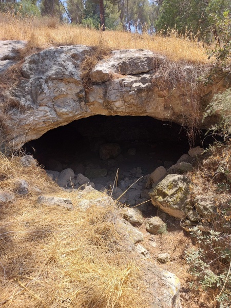 קובץ:2025-07-02T13 32 40.512039441533.jpg