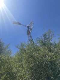 2025-07-02T13 54 21.555138645929.jpg