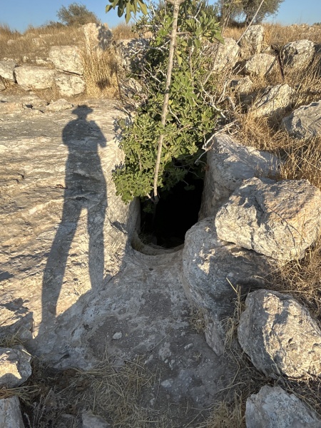 קובץ:2025-07-02T18 47 25.856185300902.jpg