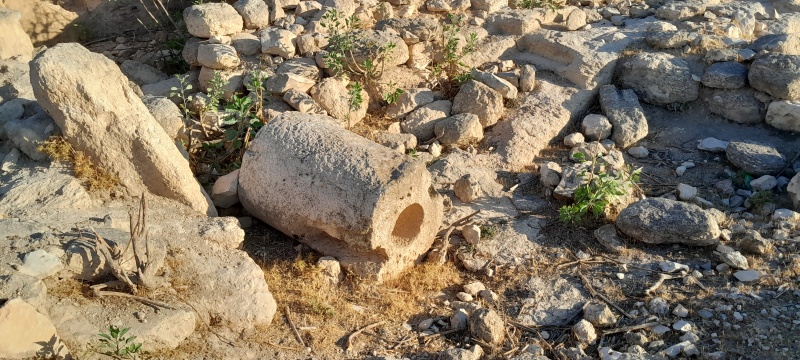 קובץ:2025-07-03T06 37 29.298495685560.jpg