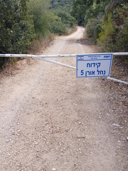 קובץ:2025-07-03T11 24 26.643967455493.jpg