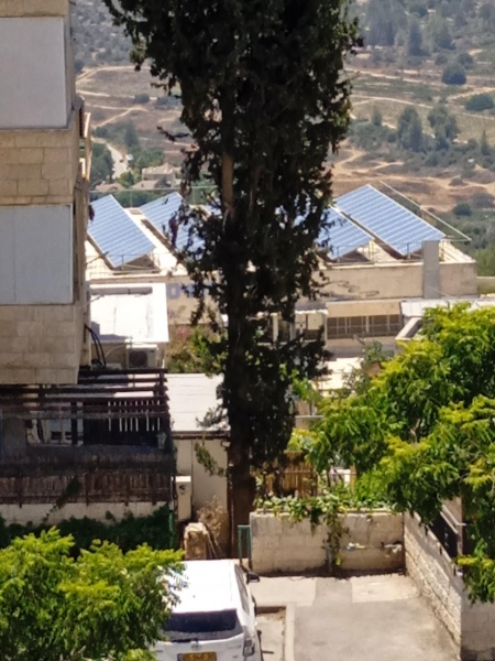 קובץ:2025-07-03T13 53 28.268369840058.jpg