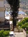 תמונה ממוזערת לגרסה מתאריך 11:58, 28 ביולי 2025