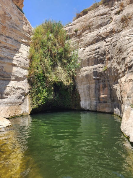 קובץ:2025-07-03T14 50 12.011115724092.jpg