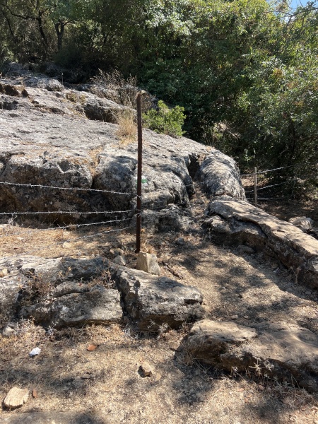 קובץ:2025-07-03T15 31 07.685735690630.jpg