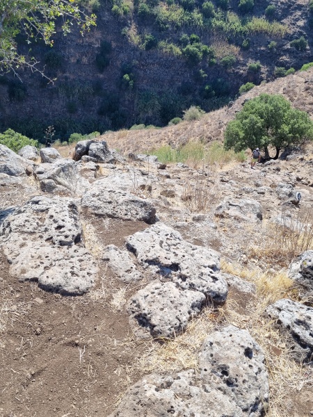 קובץ:2025-07-03T15 33 23.264471510566.jpg