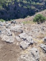 תמונה ממוזערת לגרסה מתאריך 12:10, 3 ביולי 2025