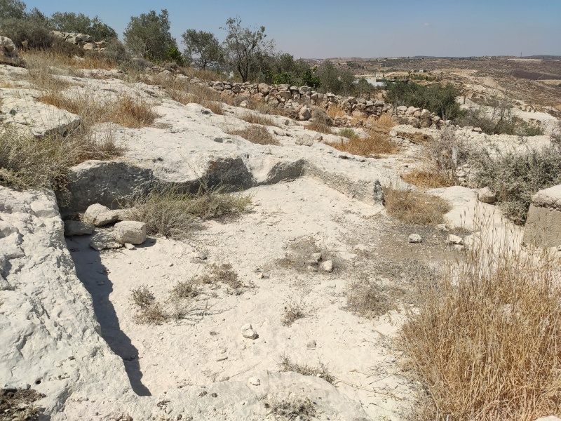 קובץ:2025-07-04T11 05 46.150122930825.jpg