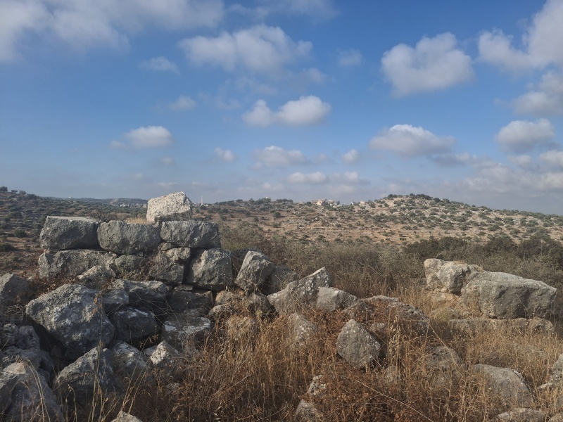קובץ:2025-07-04T12 07 09.9273567286.jpg